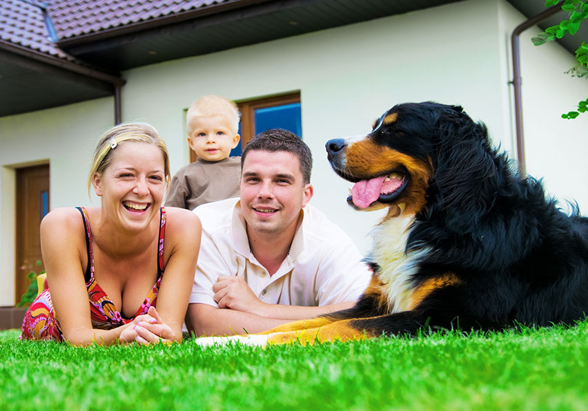 family in grass with dog