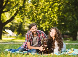 Mosquito & Tick Control in Newton, NH