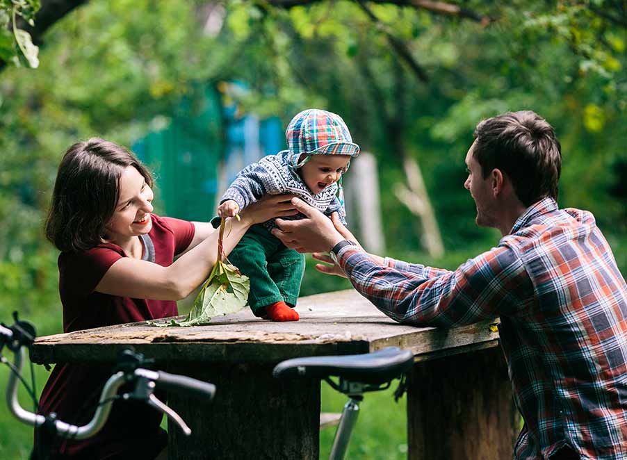 Mosquito & Tick Control in Amesbury, MA
