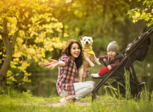 Mosquito & Tick Control in Andover, MA