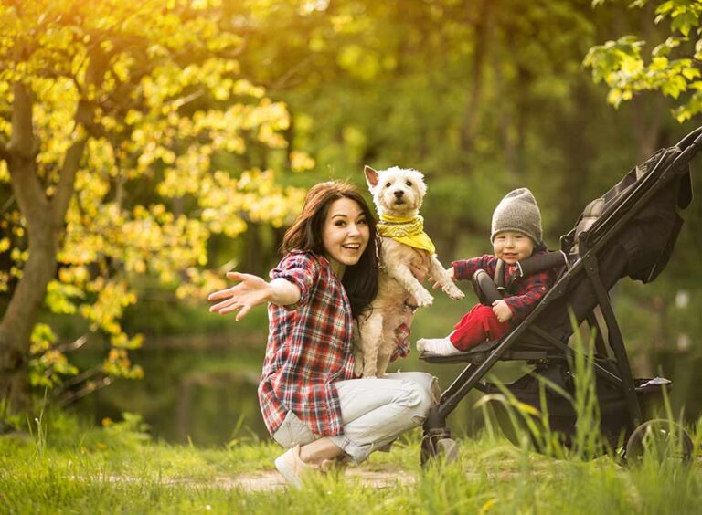 Mosquito & Tick Control in Andover, MA