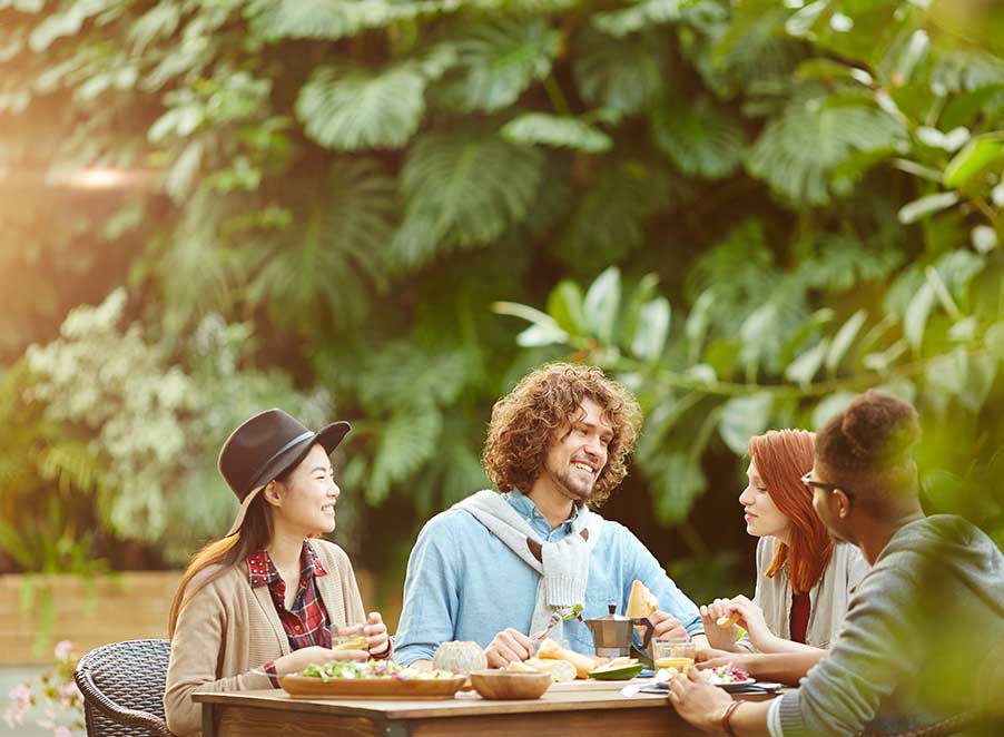 Mosquito & Tick Control in Georgetown, MA