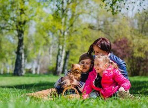 Mosquito & Tick Control in Groveland, MA