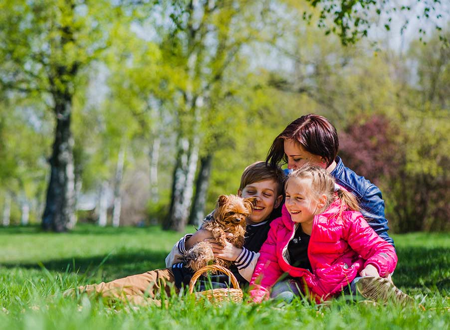 Mosquito & Tick Control in Groveland, MA