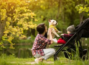 Mosquito and Tick Control in Hamilton, MA