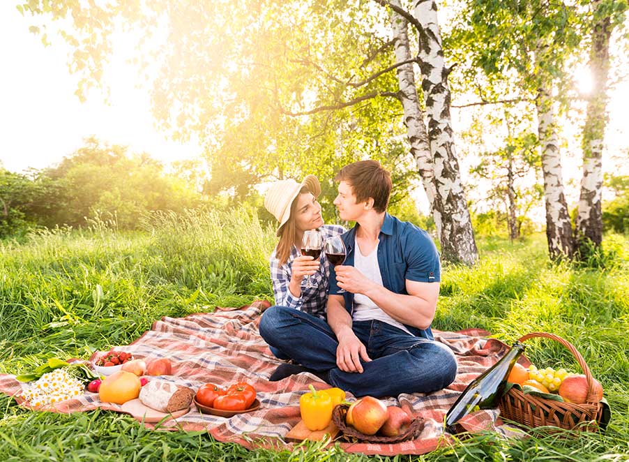 Mosquito & Tick Control in Ipswich, MA