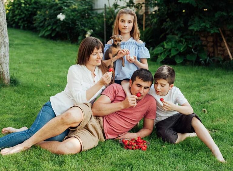 Mosquito & Tick Control in Lynn, MA