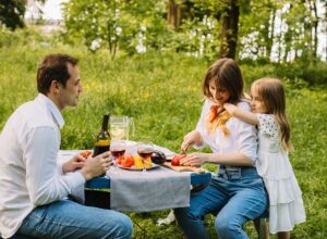 Mosquito and Tick Control in Merrimac, MA