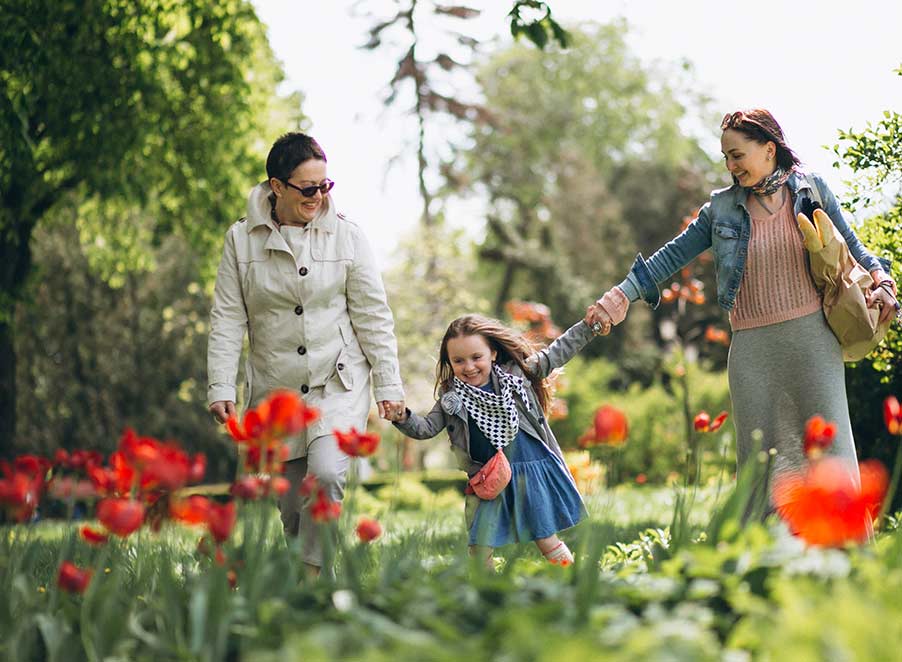 Mosquito & Tick Control in North Reading, MA