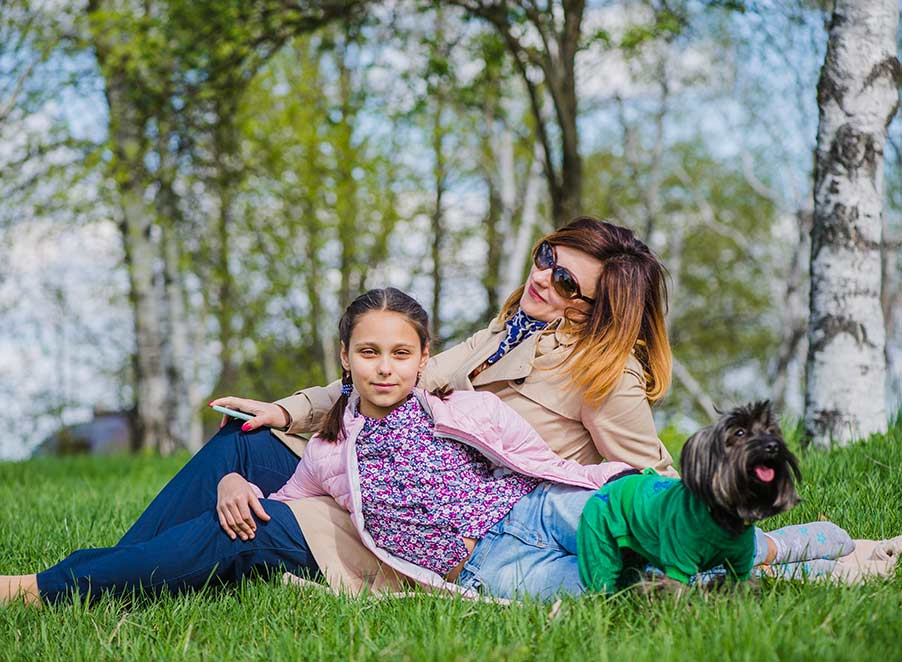 Mosquito & Tick Control in Westford, MA