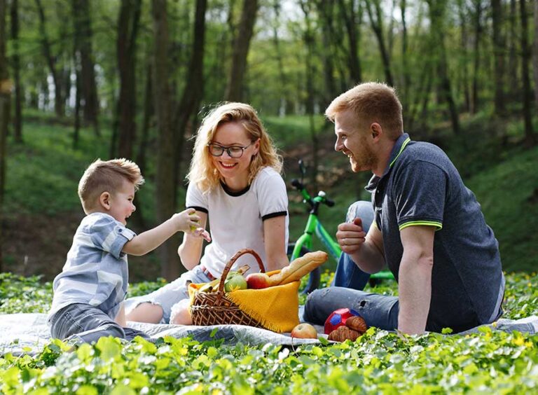 Mosquito & Tick Control in South Hampton, NH