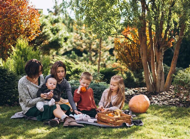 Mosquito & Tick Control in Salem, NH