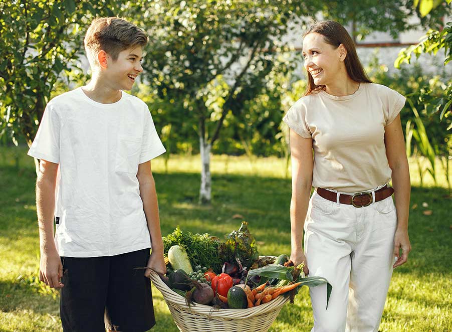 Mosquito & Tick Control in Burlington, MA