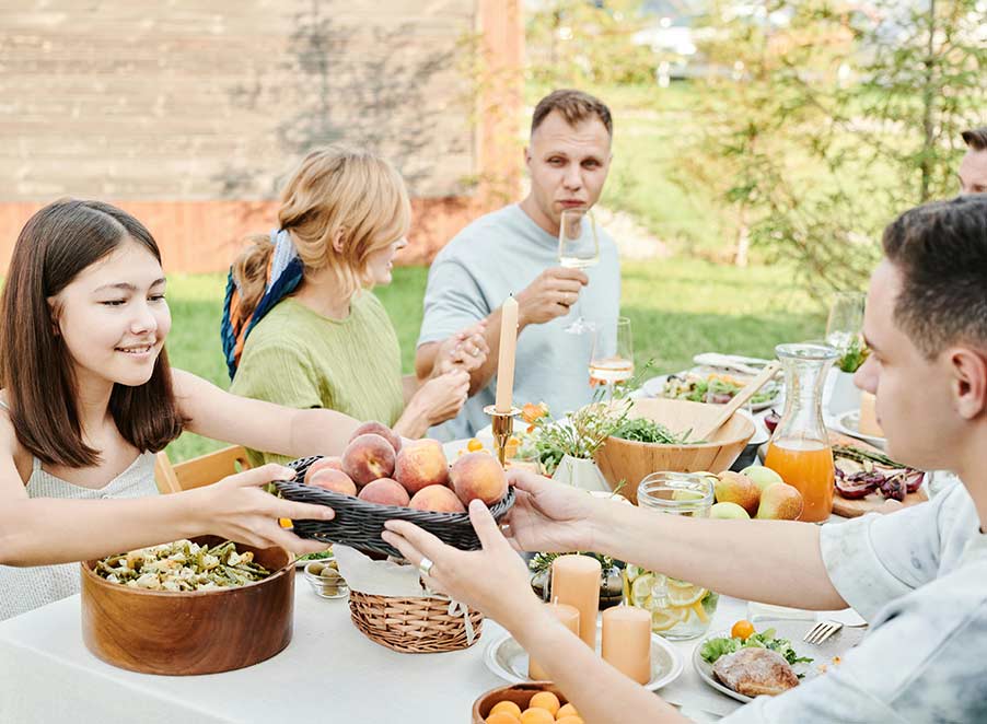 Mosquito & Tick Control in Concord, MA
