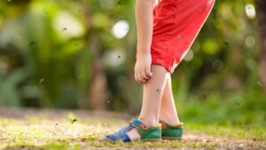 Are Backyard Mosquito Sprays Safe for Kids and Pets in Newburyport?