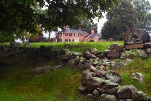 Fall yard cleanup around a shaded New England stone wall and leaf litter where tick habitat can build.