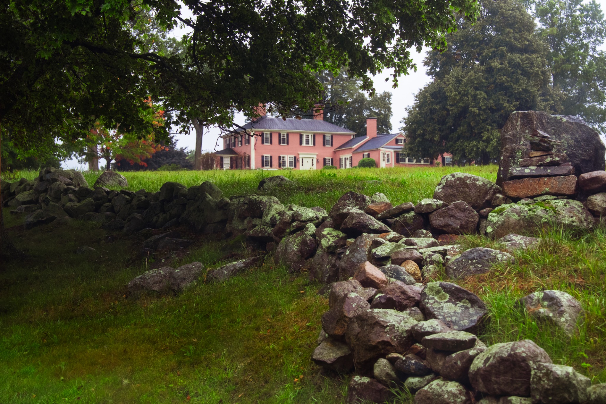 Fall yard cleanup around a shaded New England stone wall and leaf litter where tick habitat can build.