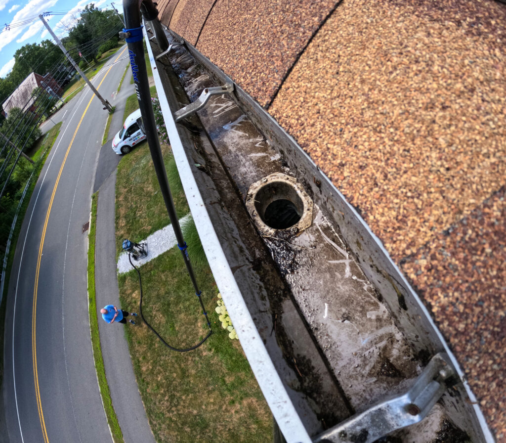 Standing water, leaves, and plant growth inside a clogged residential gutter viewed from above.