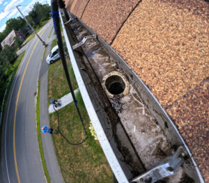 Standing water, leaves, and plant growth inside a clogged residential gutter viewed from above.