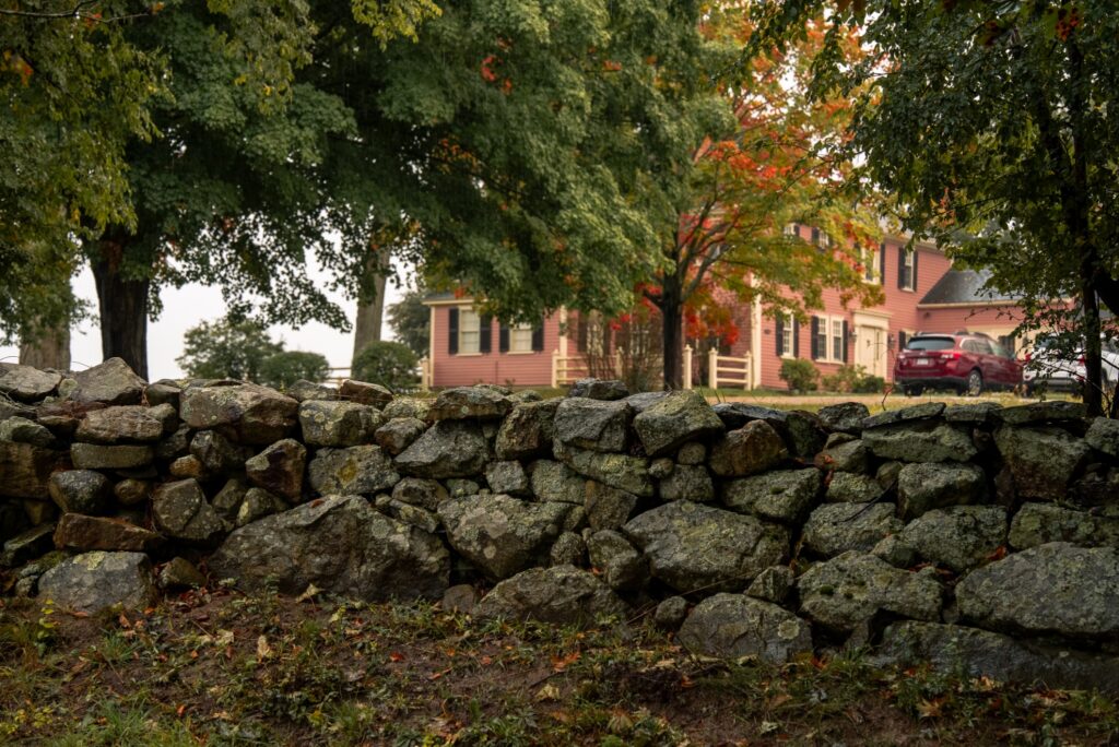 Fieldstone wall with fallen leaves beneath mature trees beside a residential yard.
