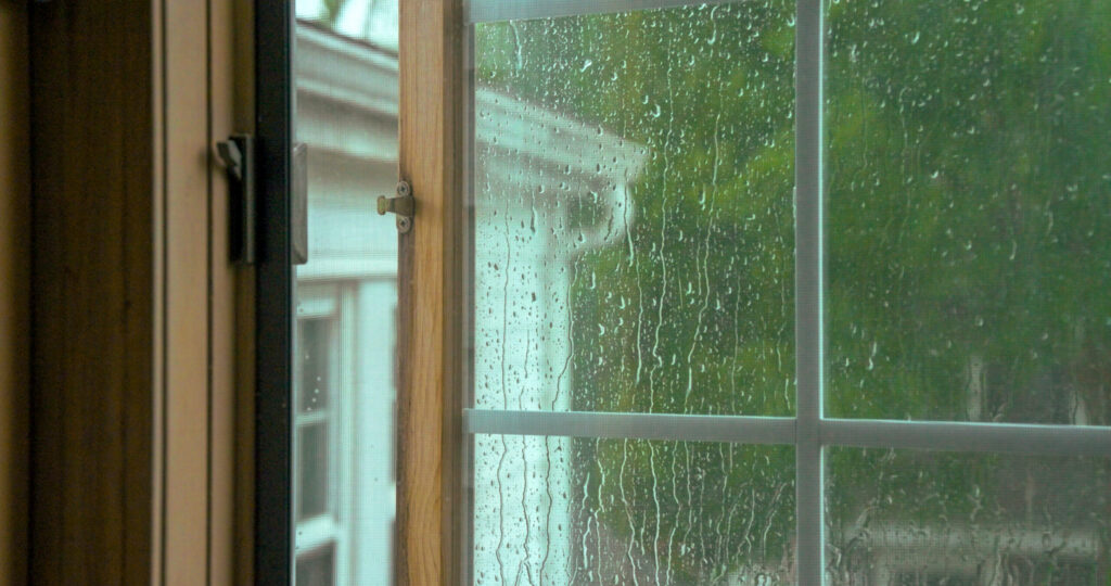 Rain droplets on a window with green trees and neighboring buildings visible outside.