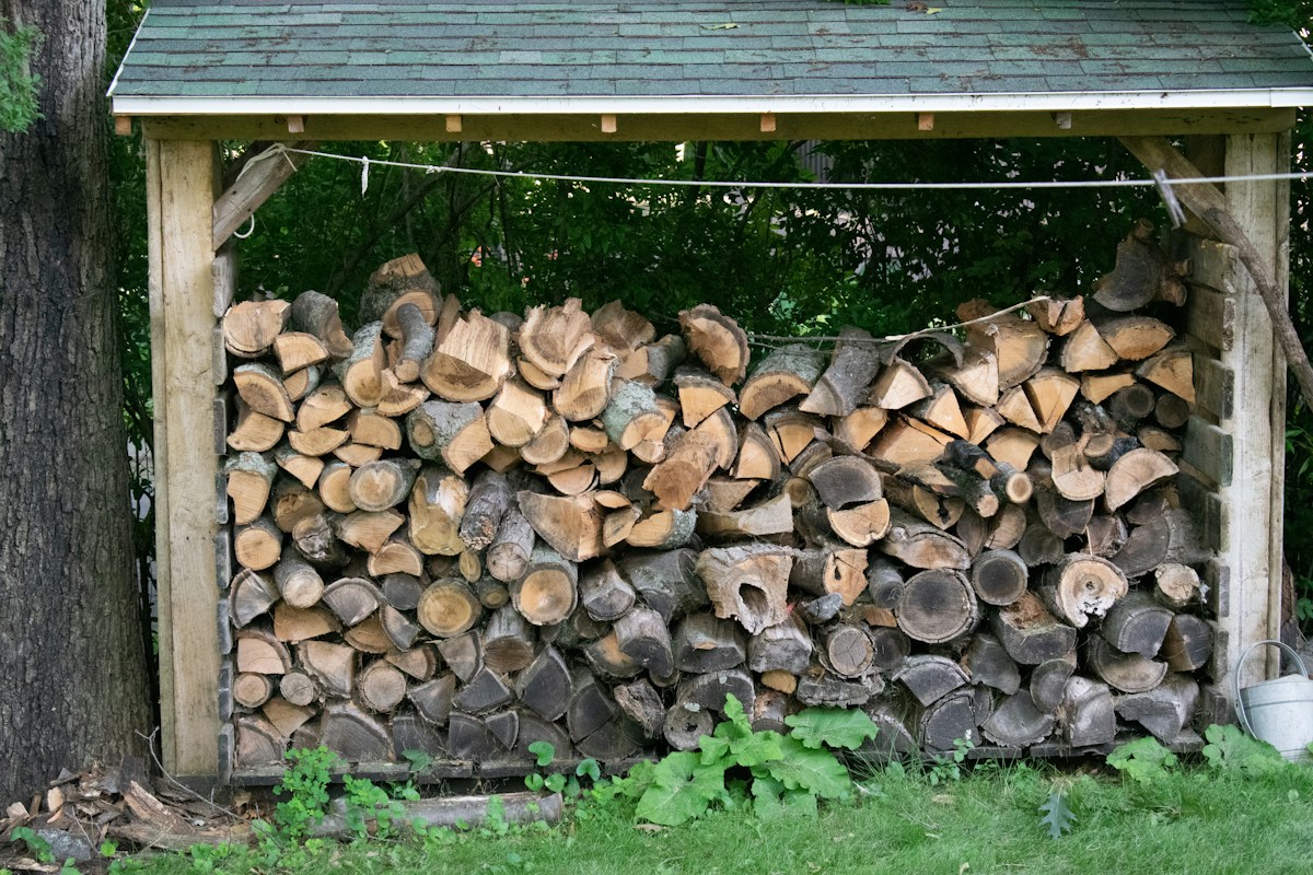 Stacked firewood in an outdoor shelter beside a tree and ground vegetation, illustrating areas to inspect when assessing tick risk.